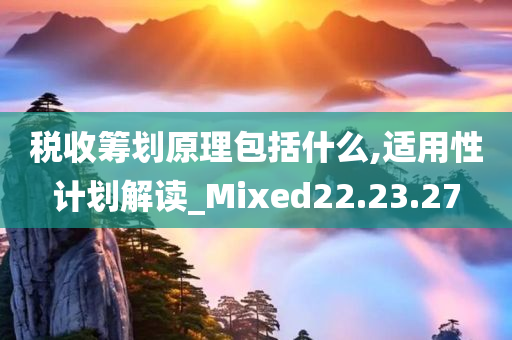 税收筹划原理包括什么,适用性计划解读_Mixed22.23.27