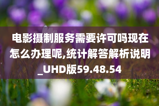 电影摄制服务需要许可吗现在怎么办理呢,统计解答解析说明_UHD版59.48.54