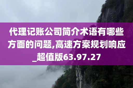 代理记账公司简介术语有哪些方面的问题,高速方案规划响应_超值版63.97.27