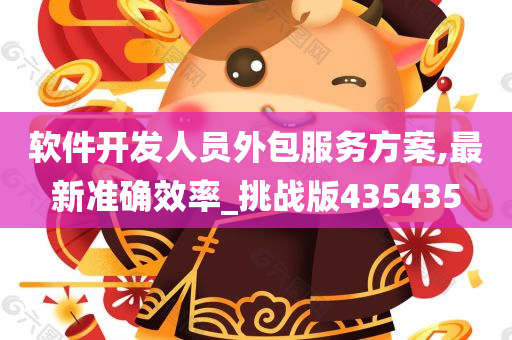 软件开发人员外包服务方案,最新准确效率_挑战版435435