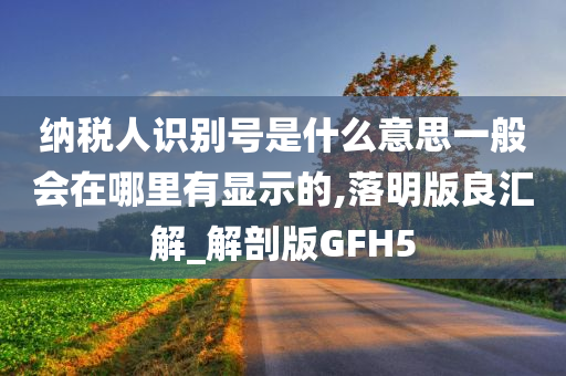 纳税人识别号是什么意思一般会在哪里有显示的,落明版良汇解_解剖版GFH5