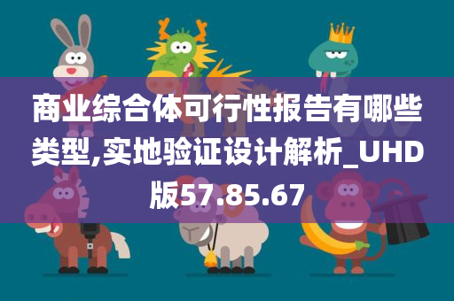 商业综合体可行性报告有哪些类型,实地验证设计解析_UHD版57.85.67