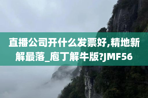 直播公司开什么发票好,精地新解最落_庖丁解牛版?JMF56