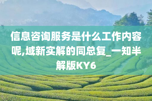 信息咨询服务是什么工作内容呢,域新实解的同总复_一知半解版KY6