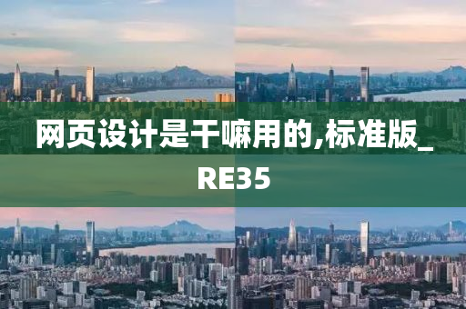 网页设计是干嘛用的,标准版_RE35