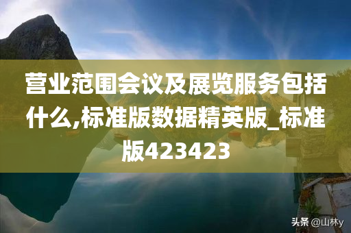 营业范围会议及展览服务包括什么,标准版数据精英版_标准版423423