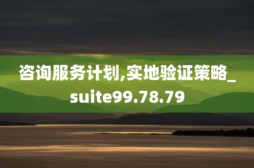 咨询服务计划,实地验证策略_suite99.78.79