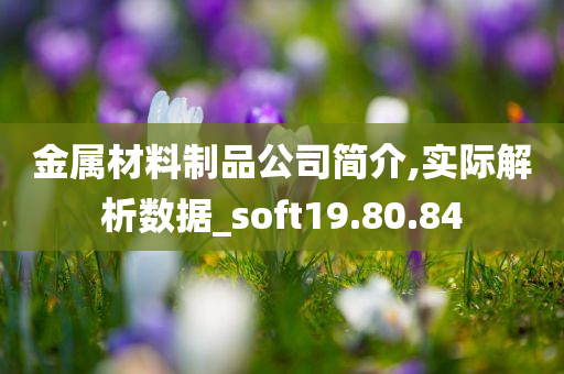 金属材料制品公司简介,实际解析数据_soft19.80.84