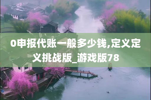 0申报代账一般多少钱,定义定义挑战版_游戏版78