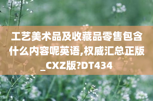 工艺美术品及收藏品零售包含什么内容呢英语,权威汇总正版_CXZ版?DT434