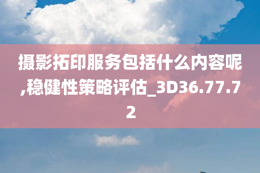 摄影拓印服务包括什么内容呢,稳健性策略评估_3D36.77.72