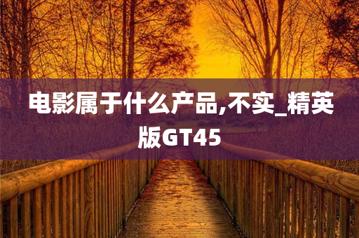 电影属于什么产品,不实_精英版GT45