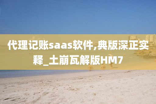 代理记账saas软件,典版深正实释_土崩瓦解版HM7