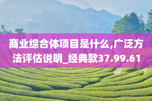 商业综合体项目是什么,广泛方法评估说明_经典款37.99.61