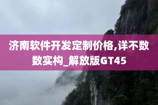 济南软件开发定制价格,详不数数实构_解放版GT45