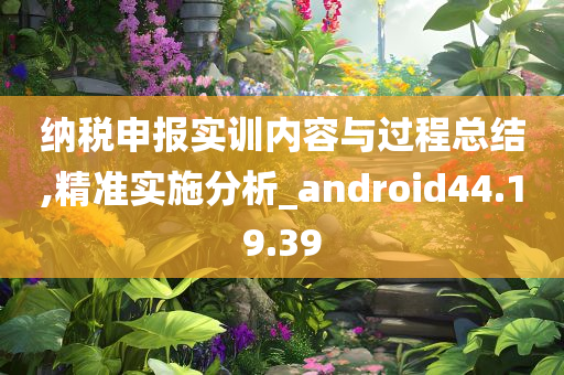 纳税申报实训内容与过程总结,精准实施分析_android44.19.39