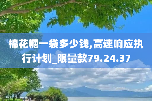 棉花糖一袋多少钱,高速响应执行计划_限量款79.24.37