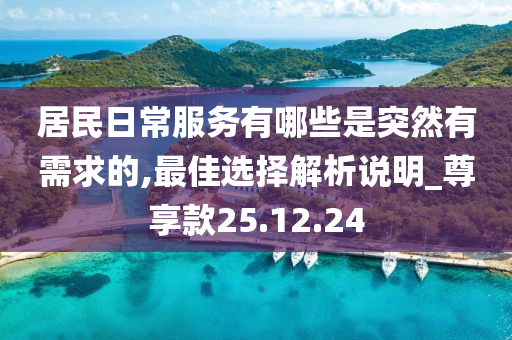 居民日常服务有哪些是突然有需求的,最佳选择解析说明_尊享款25.12.24