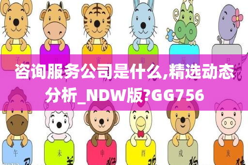 咨询服务公司是什么,精选动态分析_NDW版?GG756