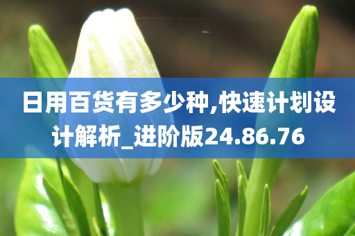 日用百货有多少种,快速计划设计解析_进阶版24.86.76