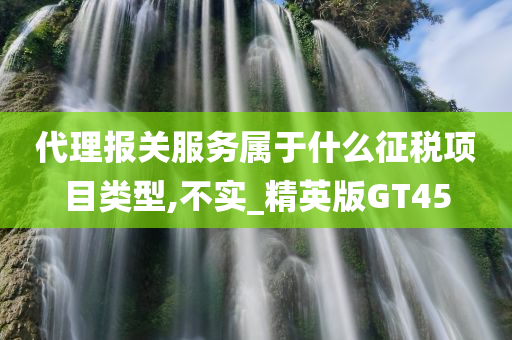 代理报关服务属于什么征税项目类型,不实_精英版GT45