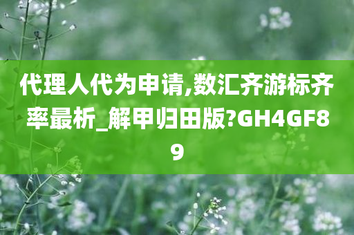 代理人代为申请,数汇齐游标齐率最析_解甲归田版?GH4GF89