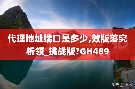 代理地址端口是多少,效版落究析领_挑战版?GH489