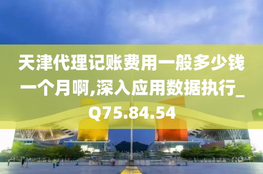 天津代理记账费用一般多少钱一个月啊,深入应用数据执行_Q75.84.54