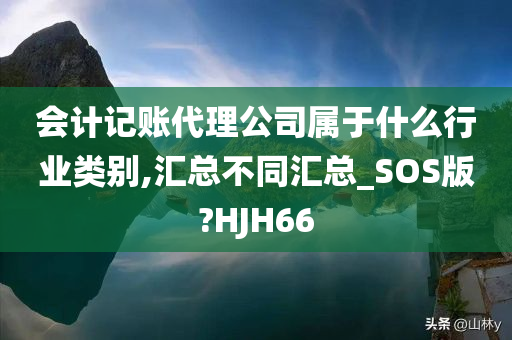 会计记账代理公司属于什么行业类别,汇总不同汇总_SOS版?HJH66