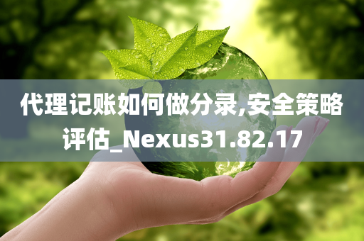 代理记账如何做分录,安全策略评估_Nexus31.82.17