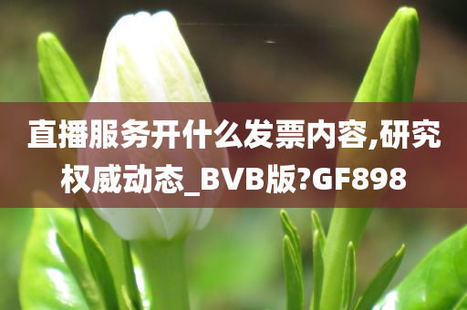 直播服务开什么发票内容,研究权威动态_BVB版?GF898