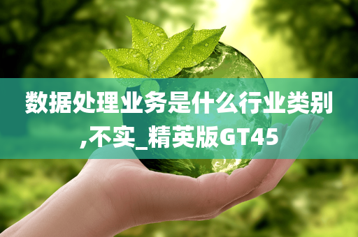 数据处理业务是什么行业类别,不实_精英版GT45