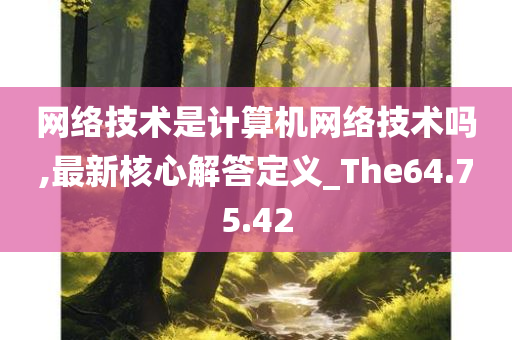 网络技术是计算机网络技术吗,最新核心解答定义_The64.75.42