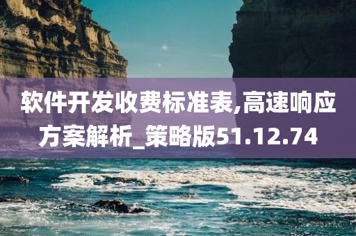 软件开发收费标准表,高速响应方案解析_策略版51.12.74