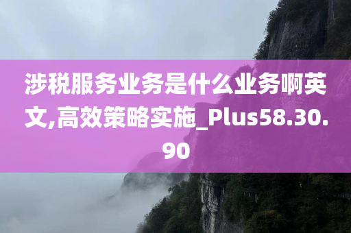 涉税服务业务是什么业务啊英文,高效策略实施_Plus58.30.90