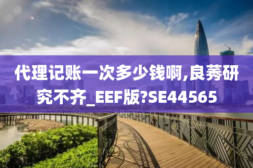 代理记账一次多少钱啊,良莠研究不齐_EEF版?SE44565