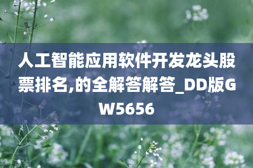 人工智能应用软件开发龙头股票排名,的全解答解答_DD版GW5656