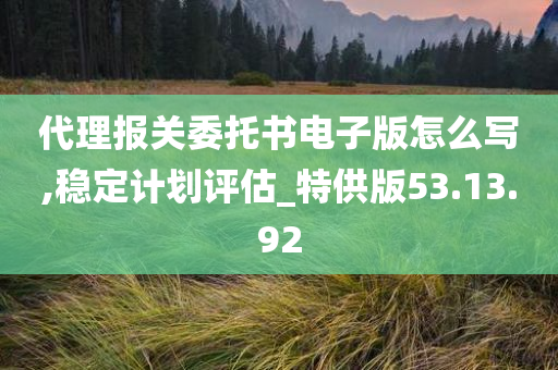 代理报关委托书电子版怎么写,稳定计划评估_特供版53.13.92