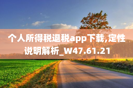 个人所得税退税app下载,定性说明解析_W47.61.21