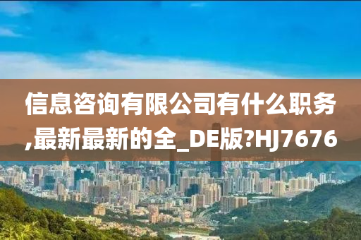 信息咨询有限公司有什么职务,最新最新的全_DE版?HJ7676