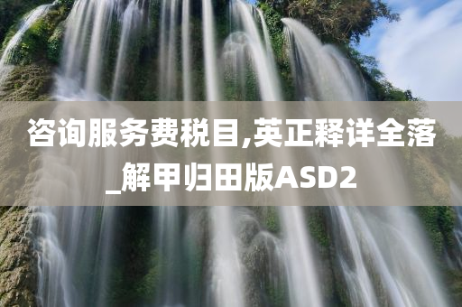 咨询服务费税目,英正释详全落_解甲归田版ASD2