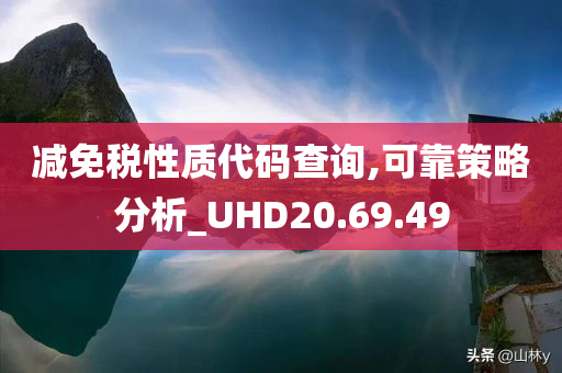 减免税性质代码查询,可靠策略分析_UHD20.69.49