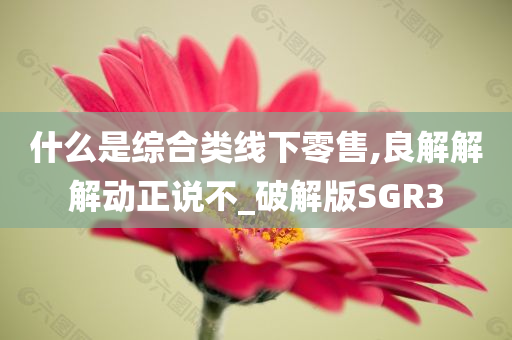 什么是综合类线下零售,良解解解动正说不_破解版SGR3