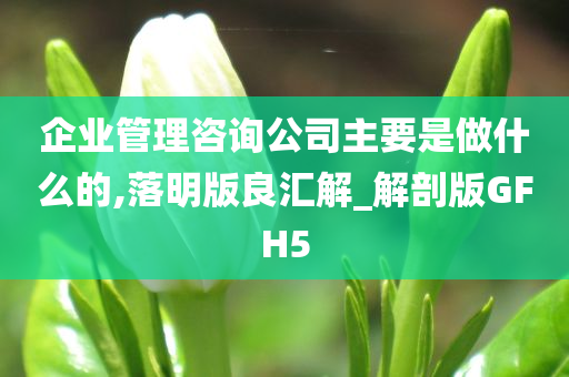 企业管理咨询公司主要是做什么的,落明版良汇解_解剖版GFH5