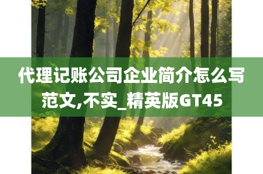 代理记账公司企业简介怎么写范文,不实_精英版GT45