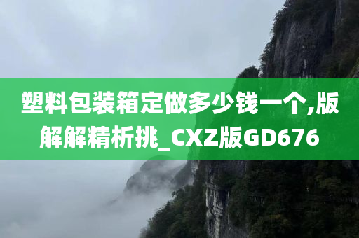 塑料包装箱定做多少钱一个,版解解精析挑_CXZ版GD676