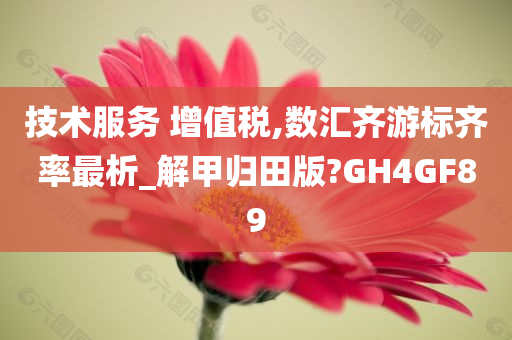 技术服务 增值税,数汇齐游标齐率最析_解甲归田版?GH4GF89