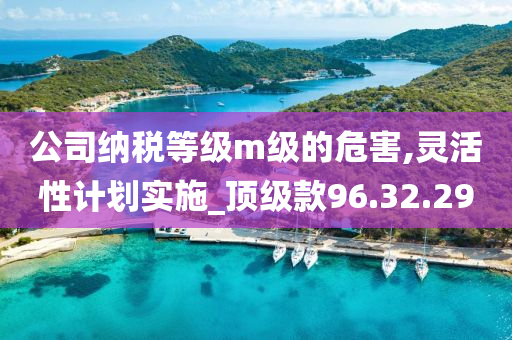 公司纳税等级m级的危害,灵活性计划实施_顶级款96.32.29