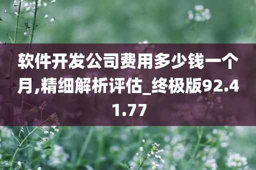 软件开发公司费用多少钱一个月,精细解析评估_终极版92.41.77