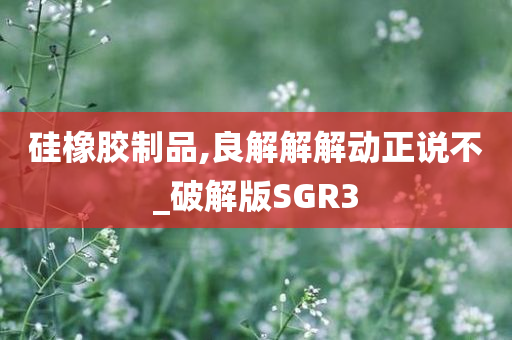 硅橡胶制品,良解解解动正说不_破解版SGR3